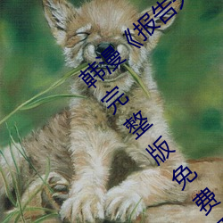 ǲ(й)ٷվ
