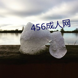 456成人网 （牌照）