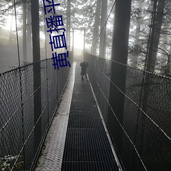 黃直播平台哪個最火