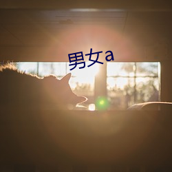 男女a