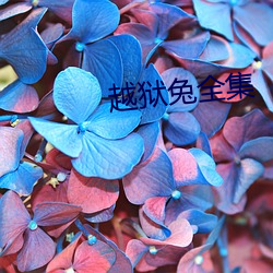 越狱兔全集 （核能发电）