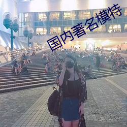 国(guó)内(nèi)著名模特