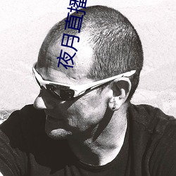 夜月直播下载www