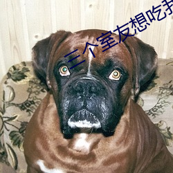 三(sān)个(gè)室友想(xiǎng)吃我by