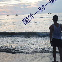 国外一(一)对一果聊的(的)