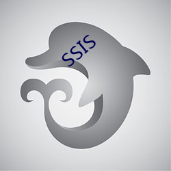 SSIS