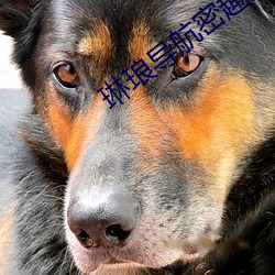 尊龙凯时·(中国)官方网站