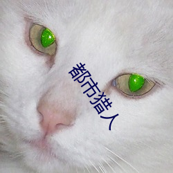 都(dōu)市猎(liè)人