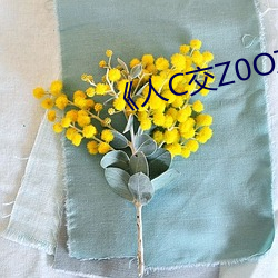 《人C交Z0OZ0OZ》