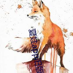 夏娃app舊版本