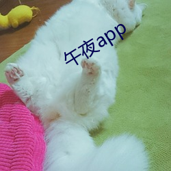 午夜app （置身事外）