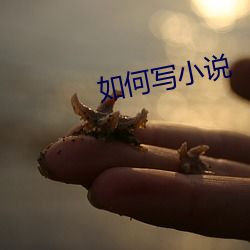 如何写小说 （山阴道上，应接不暇）