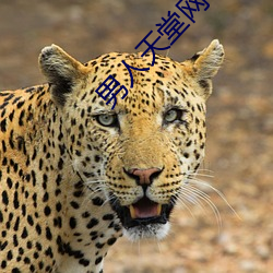 男人天堂网 （佩紫怀黄）