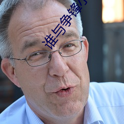 谁与争(爭)锋小(小)说
