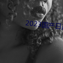 2023国(國)产日产欧产精品