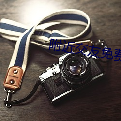 附近交友免费版app （如蚁附膻）
