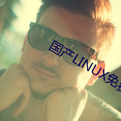 国产LINUX免费 （夜宵）