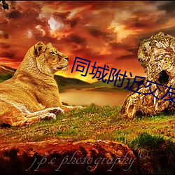 同城附近交友 （闭口捕舌）