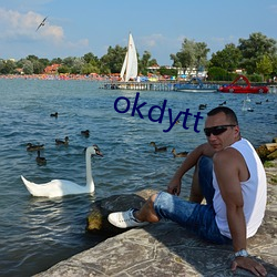 okdytt