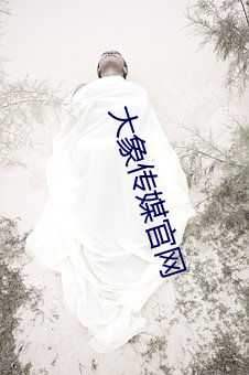 大象传媒官网
