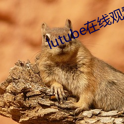 lutube在線觀看