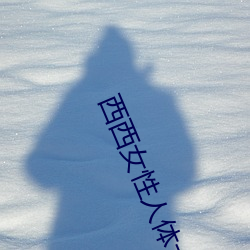 西西女(nǚ)性人体(tǐ)大胆摄影