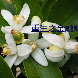 米乐M6·(中国)官方网站