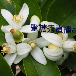 suncitygroup太阳集团--官方网站