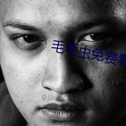毛毛虫免费看麦片