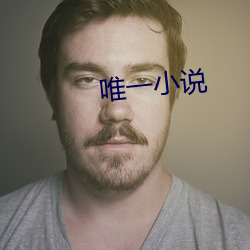 唯一小说