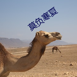 莫(莫)负(負)寒夏(夏)