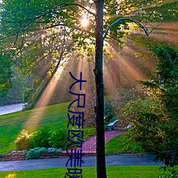 大尺度(度)西欧暖暖视(視)频(頻)在线观