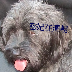 suncitygroup太阳集团--官方网站