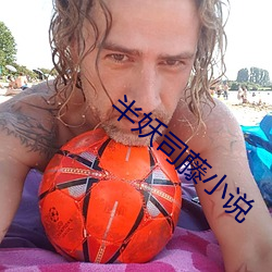 半妖司藤小說