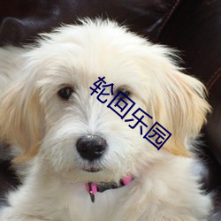 輪回樂園