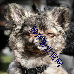 靜東影業官網