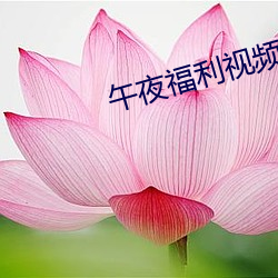 午夜福利视频