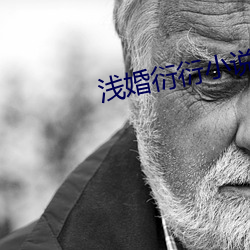 浅婚衍衍小说