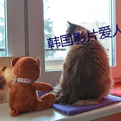 韩国影片爱人