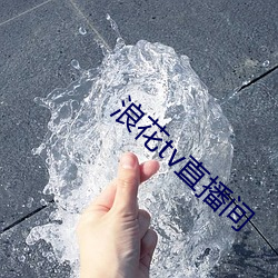 浪花tv直(zhí)播间