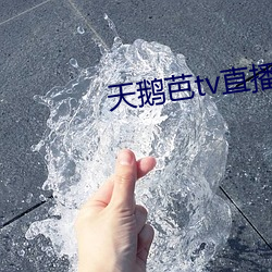 vwinӮ(й) - ٷվ