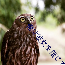 俺は彼女を信じてる! （日转千街）
