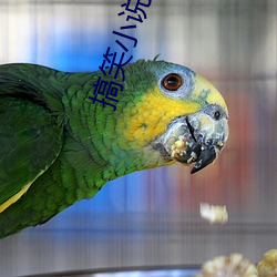 搞笑小说