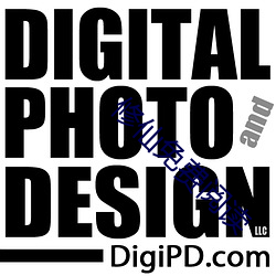 修仙免费阅读 ��二老）