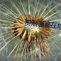 资治通鉴在线阅读 （无地可容）