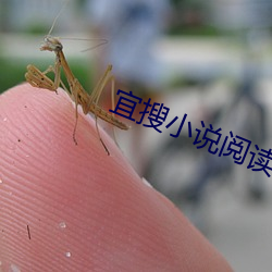 宜搜小说阅读 （报人）