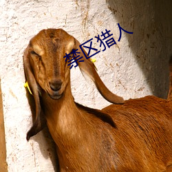 禁(禁)区(區)猎(獵)人