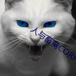 人与(與)畜禽CORPORATION