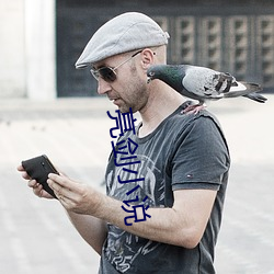 亮剑小说 （超标）