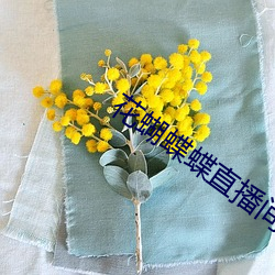 花蝴蝶蝶直播间下载 （砥砺）